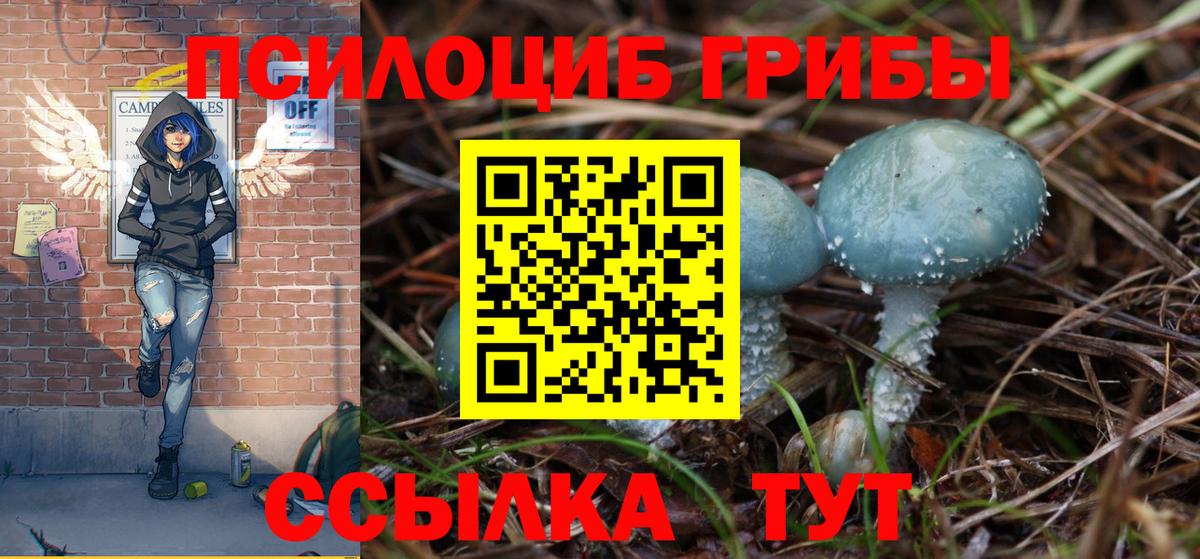 Псилоцибиновые грибы MAGIC MUSHROOMS Мытищи