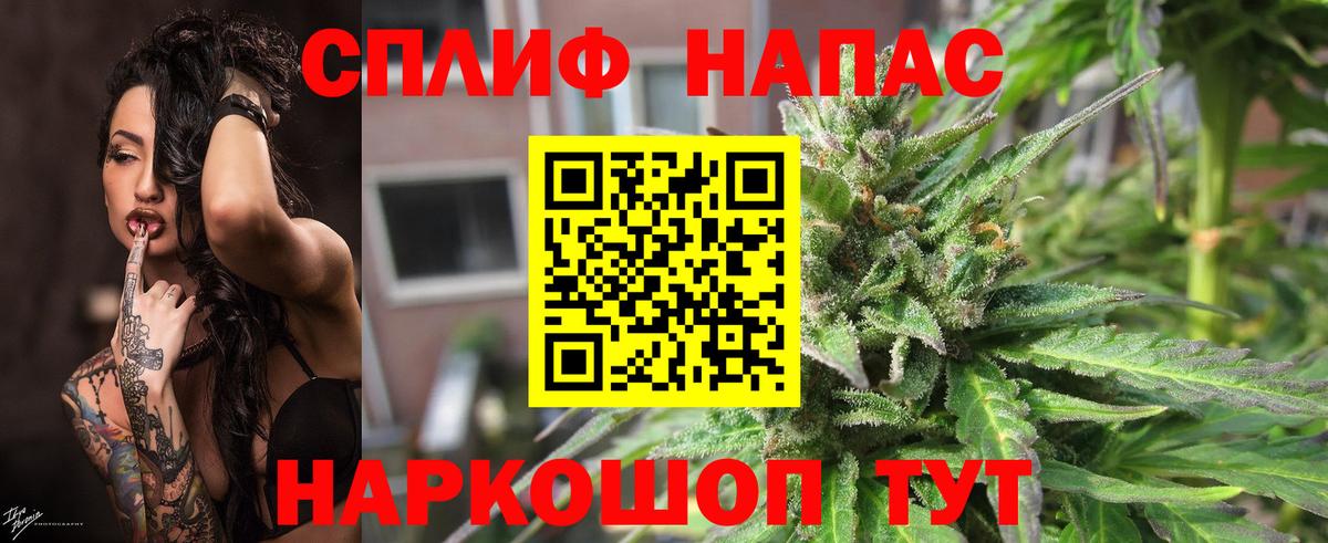Бошки марихуана индика  Вход с VPN  МАРИХУАНА SATIVA & INDICA  Мытищи  Марихуана MAZAR 